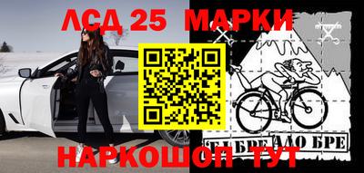 сатива Краснодар