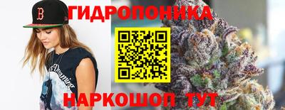 сатива Краснодар